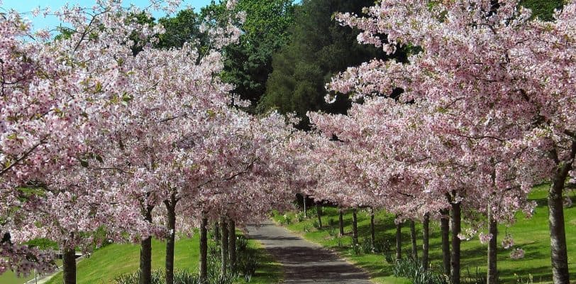 The seasons of share markets - spring